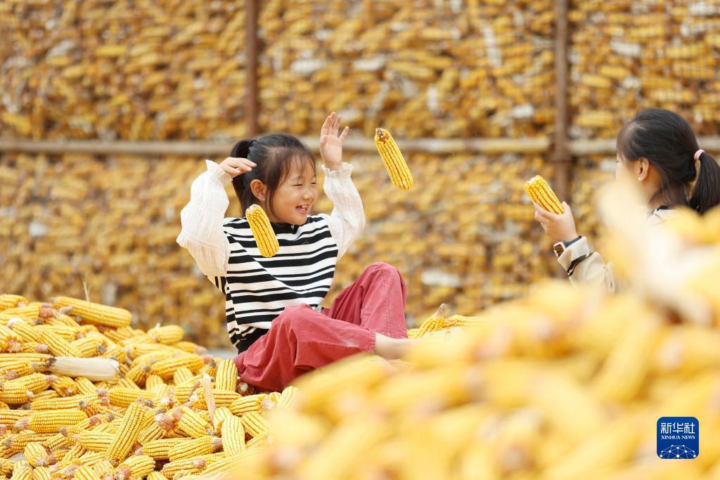 众发游戏怎么关了